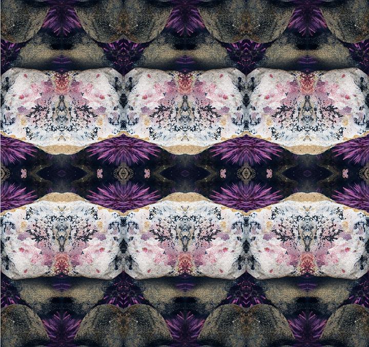 Rock & Urchin 1611 Reflected 6.jpg